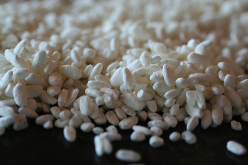 SakéOne fresh koji