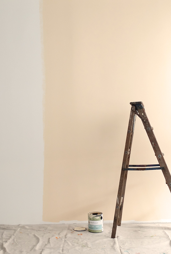Colorhouse paint DIY Puzzle Wall Room Divider