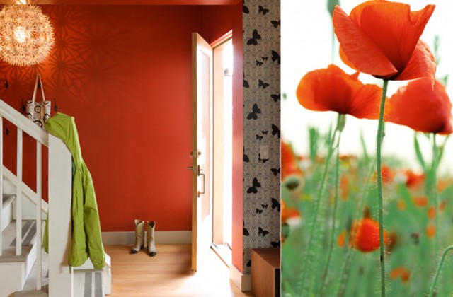 colorhouse color stories poppy palette trend