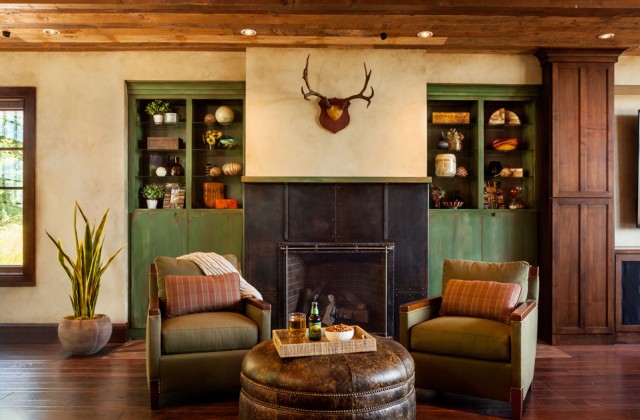 colorhouse interior den family room architectural image