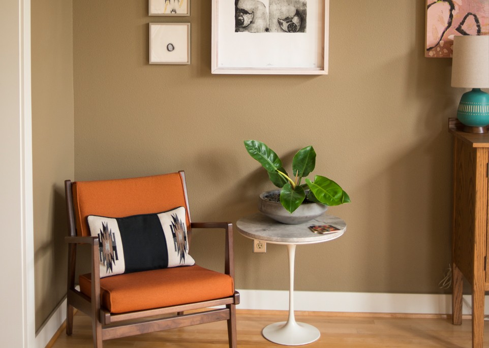colorhouse architectural photo living room brown