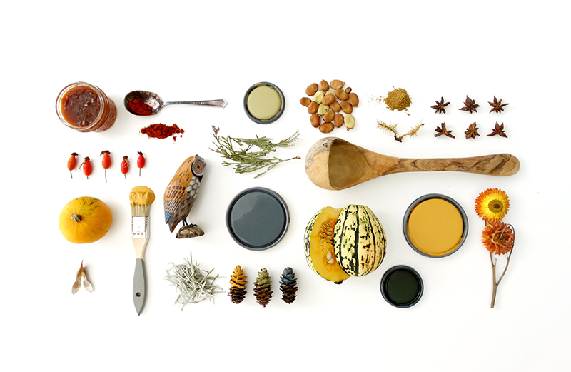 Colorhouse Fall Color Trends - Warm + Welcoming palette - orange and grey paint colors