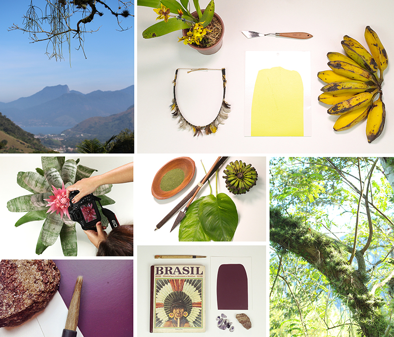 Colorhouse Latitude/Longitude Palette: Brazil