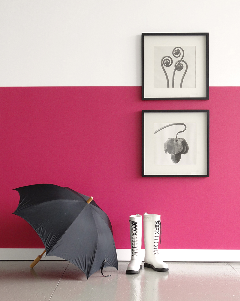 Colorhouse PETAL .04 hot pink DIY half wall technique, styled by Vicki Simon